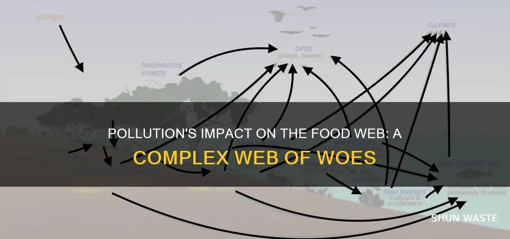 how does pollution affect the food web