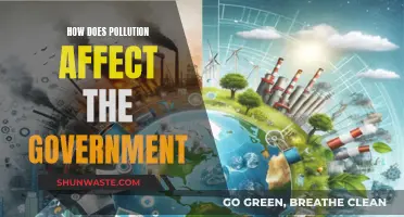 Pollution's Impact: Governing Challenges and Policy Responses