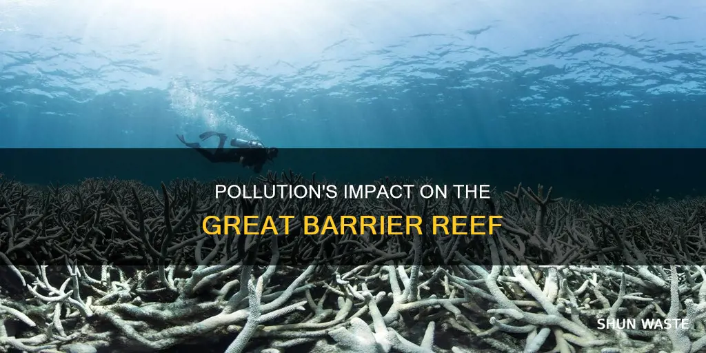 how does pollution affect the great barrier reef