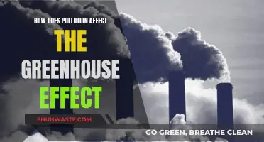 Pollution's Impact on the Greenhouse Effect: Understanding the Connection