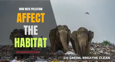 Pollution's Impact: Understanding Habitat Destruction and Degradation