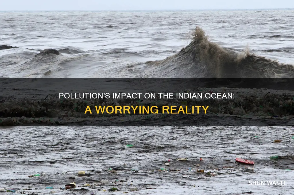 how does pollution affect the indian ocean