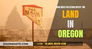 Oregon's Land Pollution: Causes and Impacts