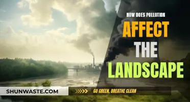 Pollution's Impact: Changing Our Landscape and Environment