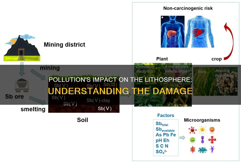 how does pollution affect the lithosphere