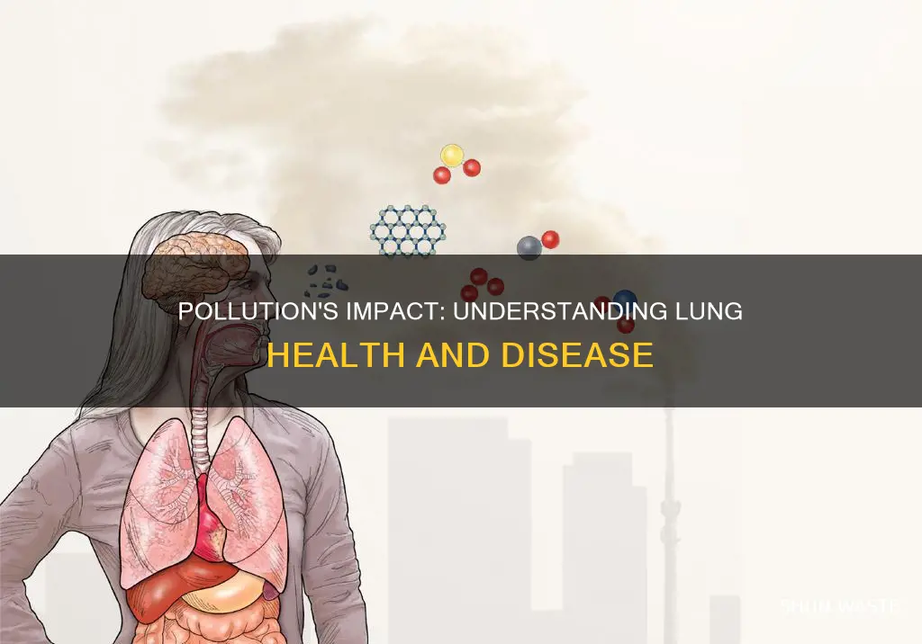 how does pollution affect the lungs