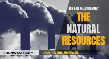 Pollution's Impact: Devastating Effects on Our Natural Resources