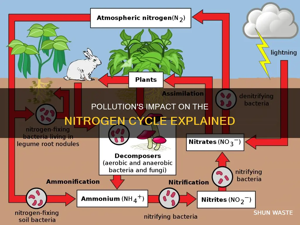 how does pollution affect the nitrogen cycle