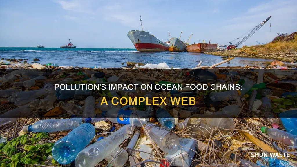 how does pollution affect the oceans food cains