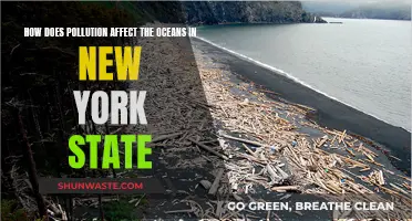 Pollution's Impact on New York's Ocean Health