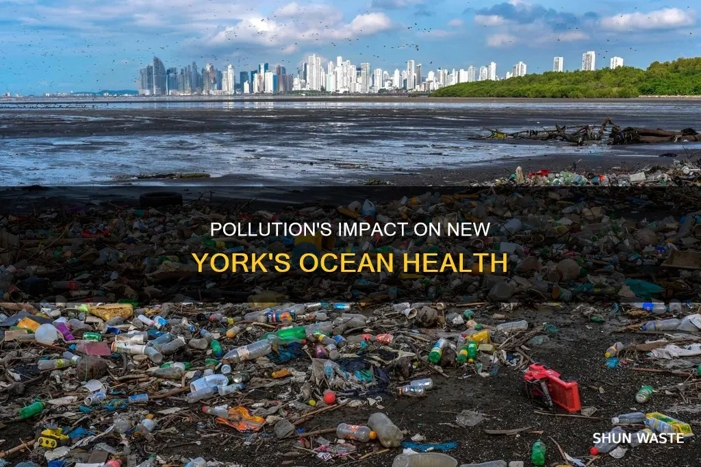 how does pollution affect the oceans in new york state