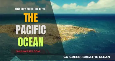 Pollution's Impact on the Pacific: A Worrying Reality