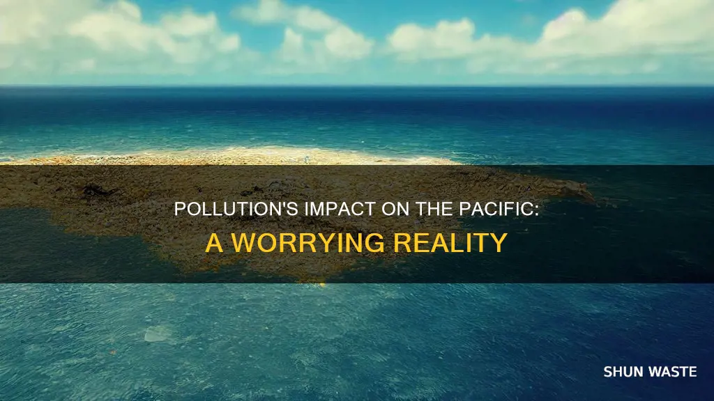 how does pollution affect the pacific ocean