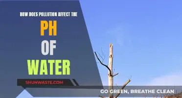 Water Pollution: pH Imbalance and its Ecological Impact