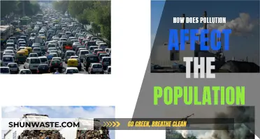 Pollution's Impact: Population's Health at Risk