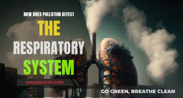 Pollution's Impact on Respiratory Health: A Critical Analysis