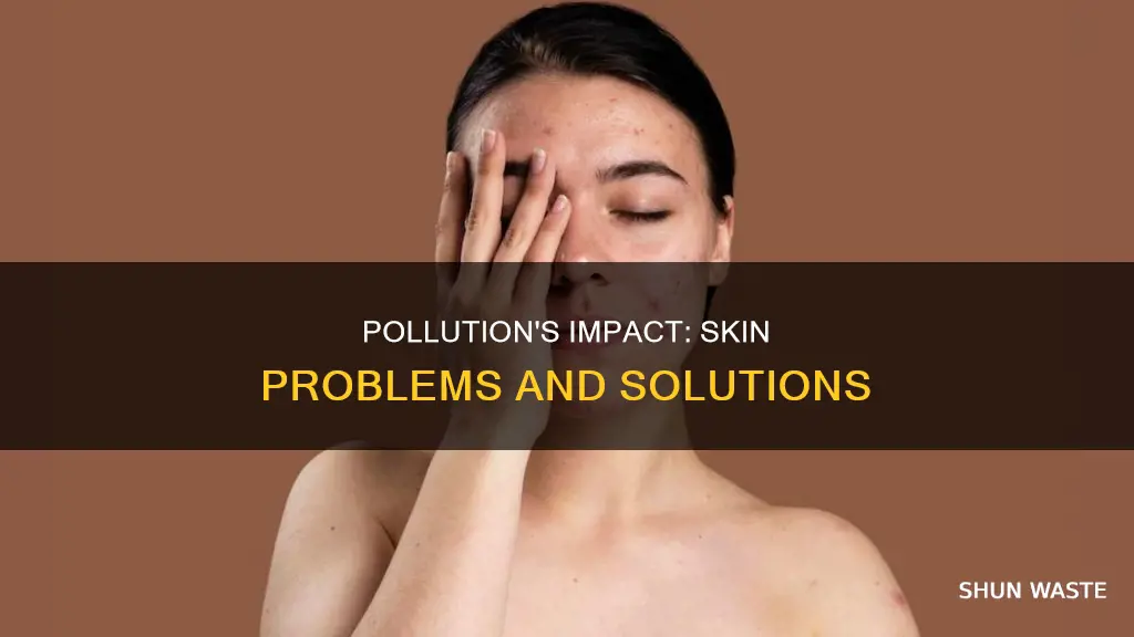 how does pollution affect the skin