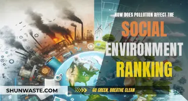 Pollution's Impact on Social Environment Ranking: A Comprehensive Overview