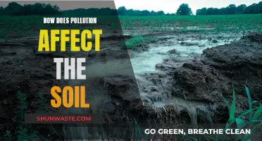 Soil Pollution: Understanding the Impact of Environmental Contamination