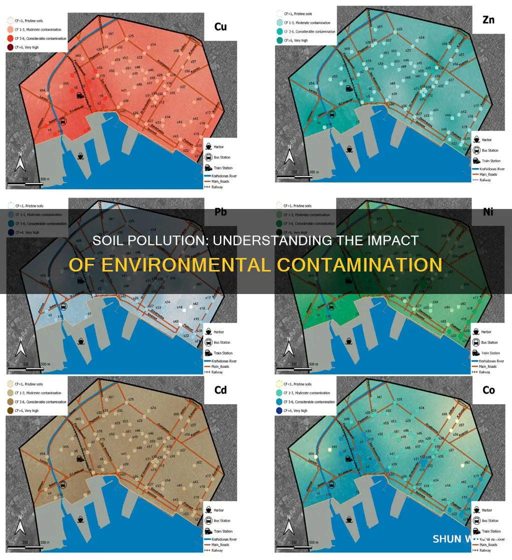 how does pollution affect the soil