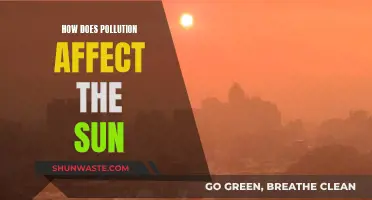 Pollution's Impact: Hazy Sun, Uncertain Future