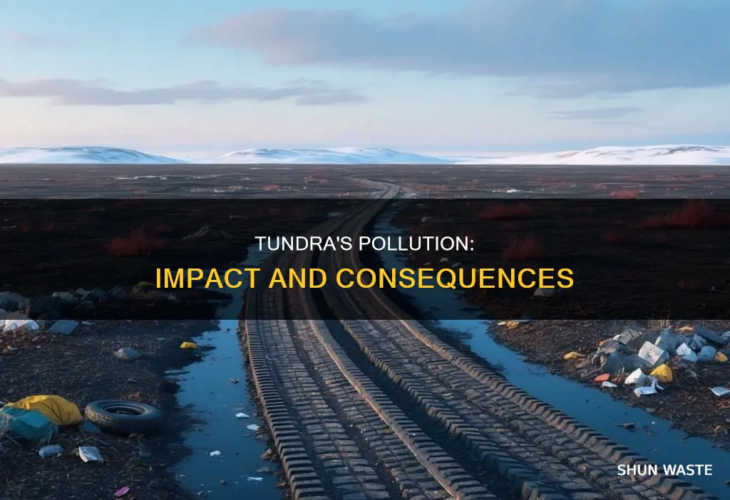 how does pollution affect the tundra