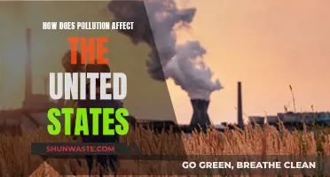 Pollution's Impact on the United States' Environment and Health