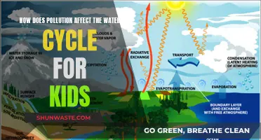 Water Cycle Worries: Pollution's Impact Explained for Kids