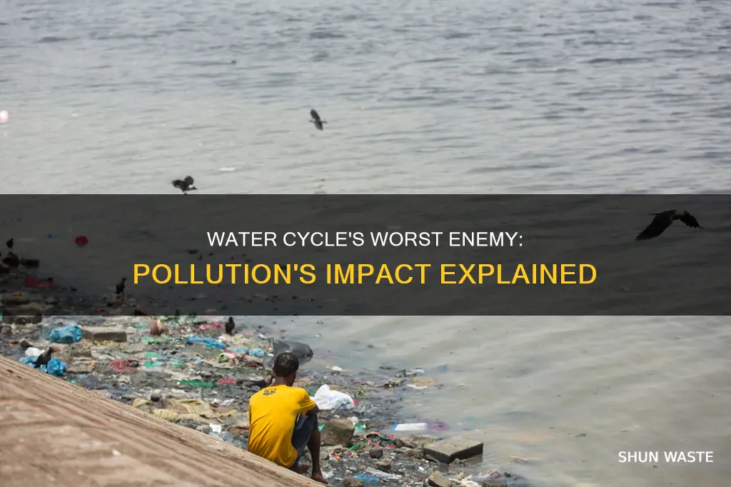 how does pollution affect the water cyle