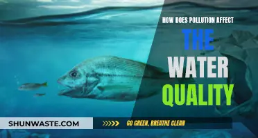 Pollution's Impact: Water Quality Deterioration Explained