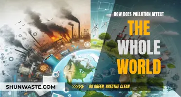 Pollution's Global Impact: A World in Danger