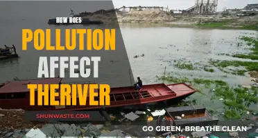 River Pollution: Understanding the Impact and Devastating Effects