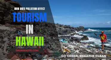 Hawaii's Tourism: Pollution's Impact and Challenges