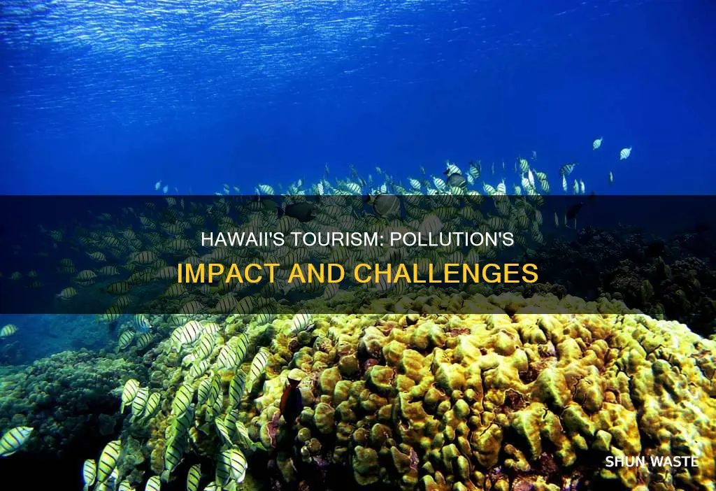 how does pollution affect tourism in hawaii