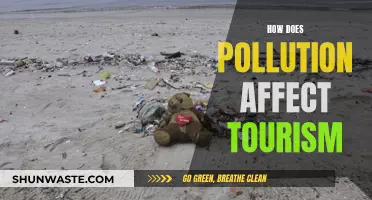 Pollution's Impact: Tourism's Dark Cloud