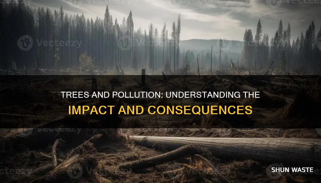 how does pollution affect trees