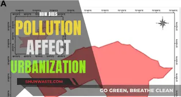 Pollution's Impact on Urbanization: A Complex Relationship