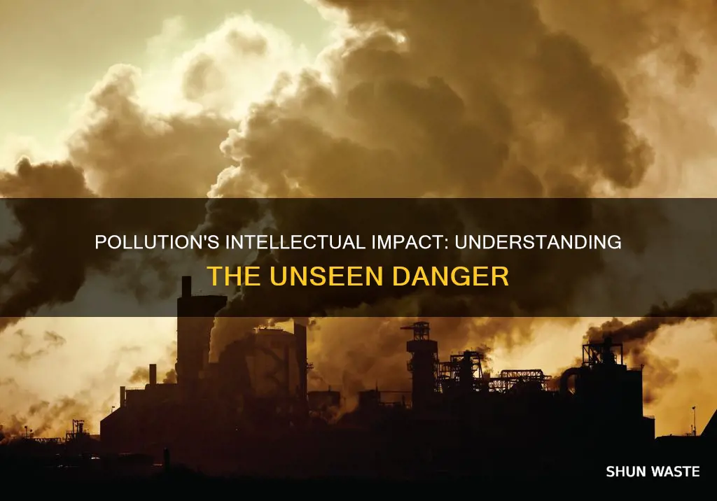 how does pollution affect us intellectually