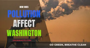 Pollution's Impact on Washington: A Comprehensive Overview