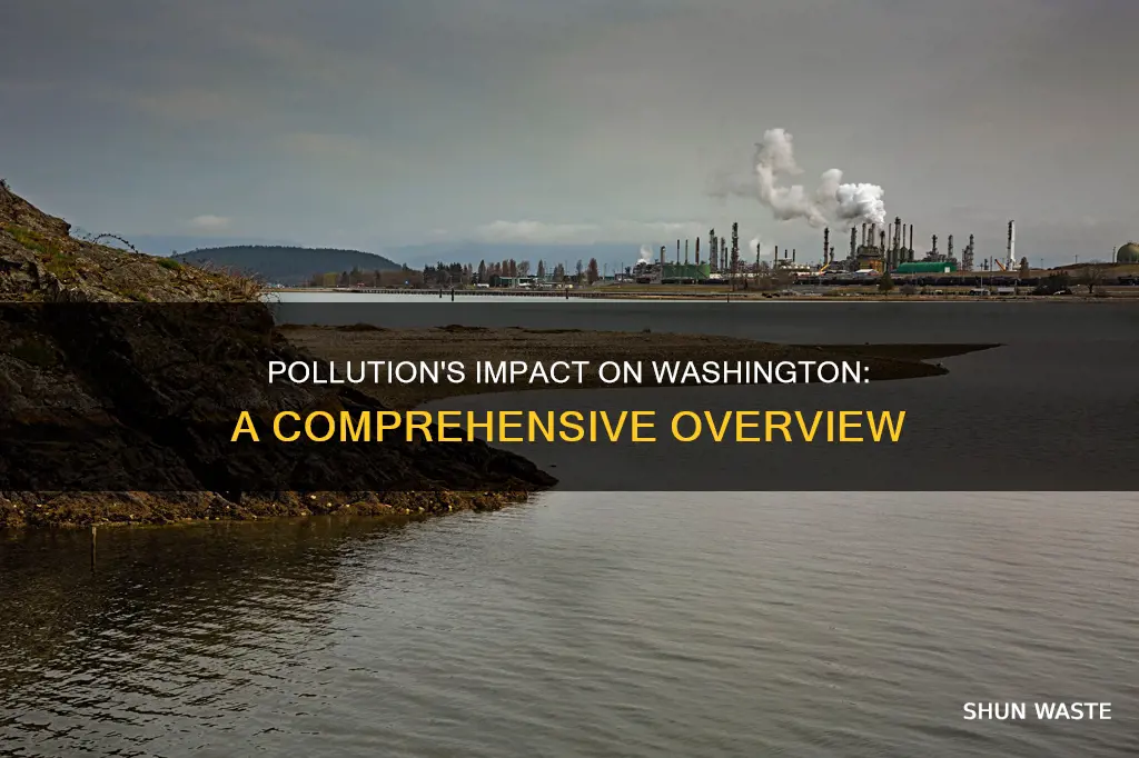 how does pollution affect washington