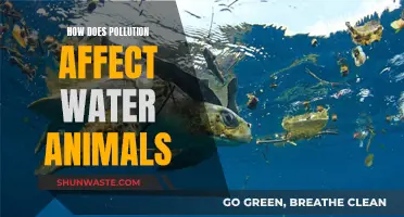 Water Animals: Surviving in a Polluted World