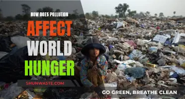 Pollution's Impact: World Hunger and Malnutrition