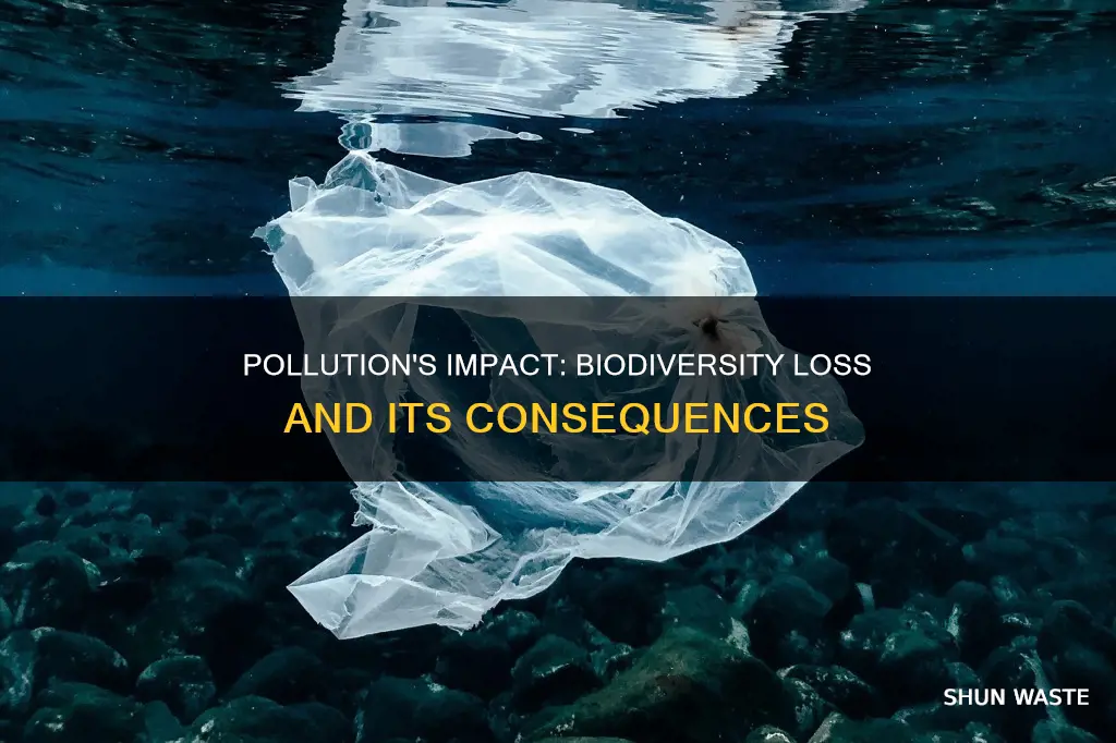 how does pollution affects biodiversity