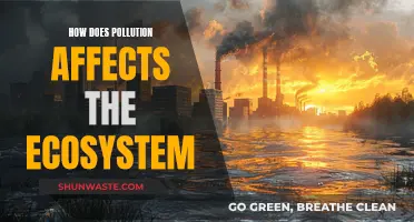 Pollution's Impact: Ecosystem Disruption and its Consequences