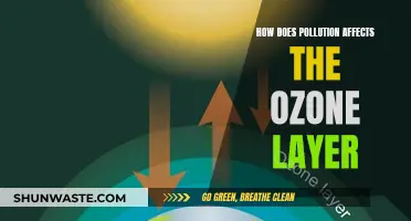 Pollution's Impact: Ozone Layer's Uncertain Future