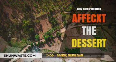 Pollution's Impact: Deserts Under Threat