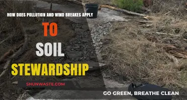 Stewardship Strategies: Pollution, Wind, and Soil Health