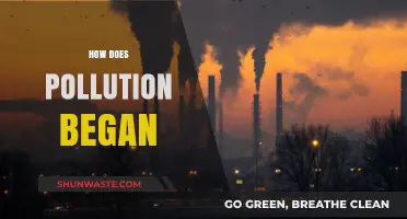 The Origin of Pollution: A Historical Perspective