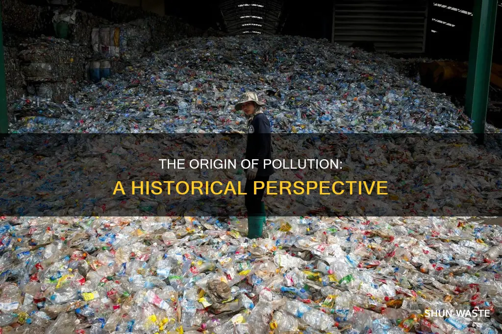how does pollution began