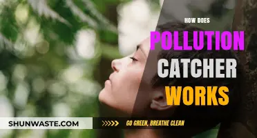 Pollution Catcher: How Do They Work?